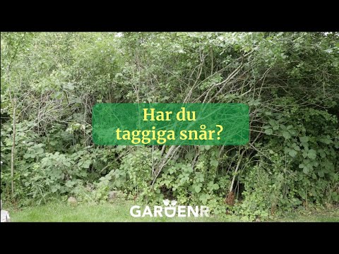 Fåglar älskar snår - Trädgårdshacks med GardenR