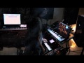 Kenai Cosmos Cover