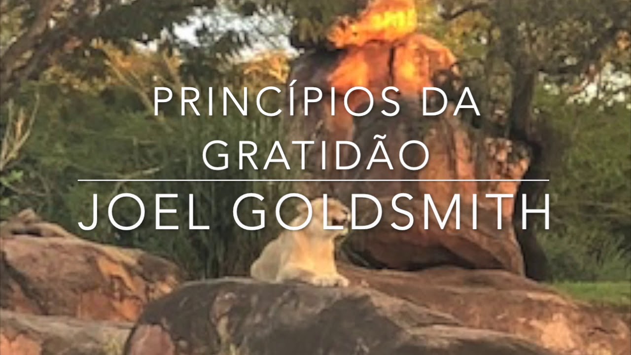Princípios da Gratidão