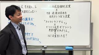国民民主党の出したエロ広告規制法案はそもそもエロ広告規制法案じゃないからな