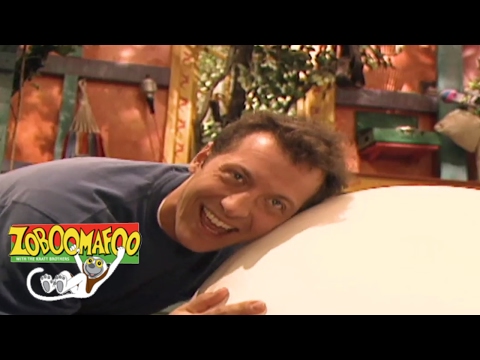 Zoboomafoo 135 - Who's in the Egg? | HD | Full Episode
