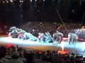 Ringling Bros Show At Reliant Stadium