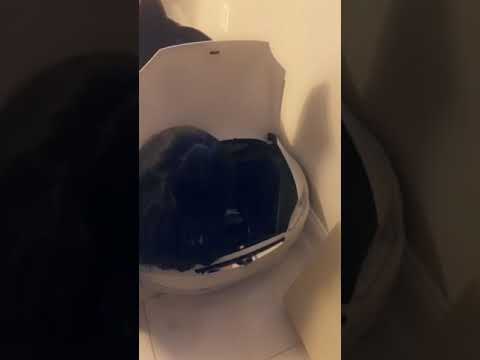 SOPHIA’S TESLA TUTORIAL - HOW TO CHARGE, USE THE FRUNK & LUDICROUS MODE