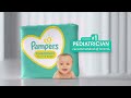 Pampers 3 A M In Diapers First Connections