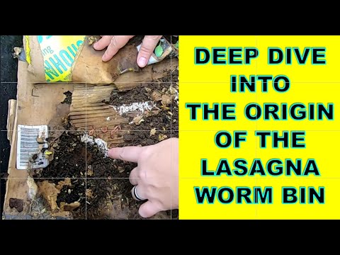 THE LASAGNA WORM BIN GETS SPOILED