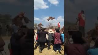 Showcasing African voodoo... broad daylight