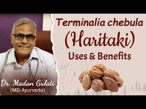 Terminalia chebula haritaki uses benefits