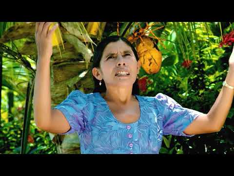 Isidora Huarachi - A Jesús seguiré (Cumbia Sureña Cristiana)