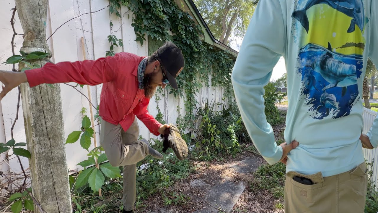 This Overgrown Yard Was Bad…But Was the Neighbor a Jerk or Just Fed Up?