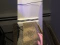 Cat Heater Canaan Avalon Nano 3s Bitcoin Cat Heater CanaanHeatFlipChallenge Canaanio