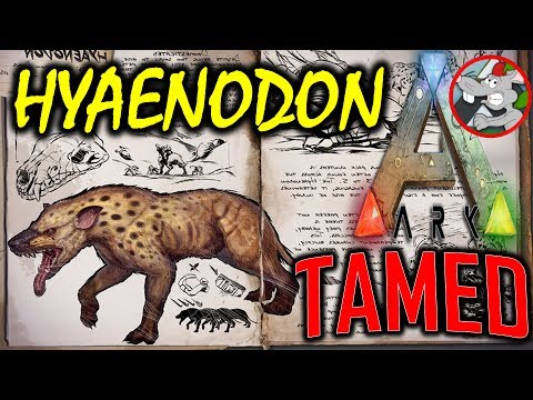ARK'S BEST FRIEND - HYAENODON TAMED - CREATURE SPOTLIGHT ARK SURVIVAL EVOLVED