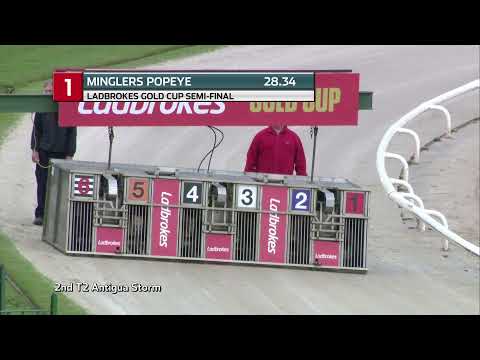 2021 LADBROKES GOLD CUP - 3RD SEMI - T1 MINGLERS POPEYE