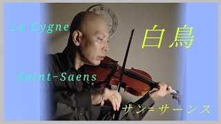 Download lagu Le Cygne白鳥：Saint-Saëns サン=サーンス mp3