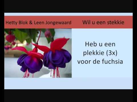 Ja Zuster Nee Zuster Ft Hetty Blok & Leen Jongewaard - Wil U Een Stekkie karaoke