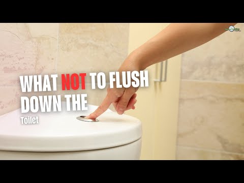 What NOT to Flush Down the Toilet | Avoid Clogs & Costly Repairs