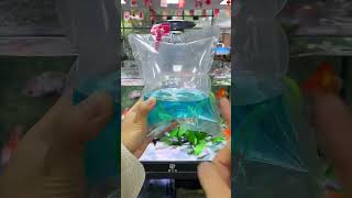 Download lagu Methylene Blue—a staple that almost every seasoned aquarium hobbyist keeps on hand mp3