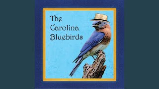 I've Got My Fingers Crossed