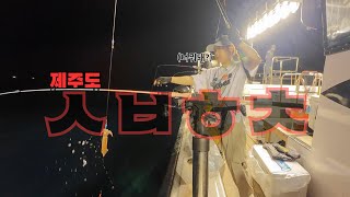 혼도 나가고 몸도 나간 제주 3박 4일 한치 원정기 🦑 그래도 야식은 맛있었다|선상먹방|화북포구 해성피싱 X 애월항 히얼호 🛥️