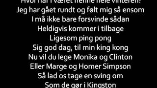 Djämes Braun - Fugle Lyrics