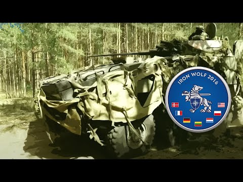 Trijų parų finalinis išbandymas „Geležinis vilkas 2016“ pratybose