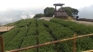 嘉義梅山祕境油車寮大風程觀日峰