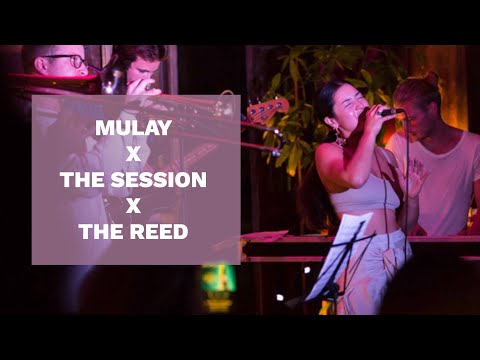 Mulay x The Session x The Reed - Fantasy