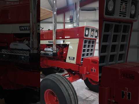 International 1568 | Hofler Collection #farmall51 #shortvideo   #shorts