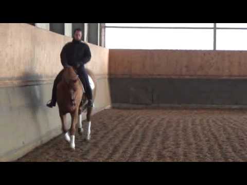 London Time  X Weltmeyer