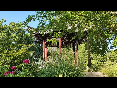 Chinesische Teehaus Luisenpark Mannheim Germany Highlight