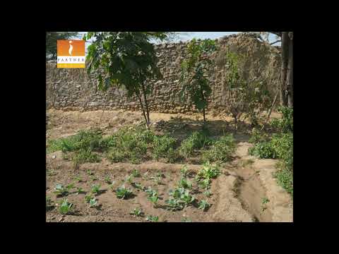 Help 2000 tribal families fight hunger, Rajasthan