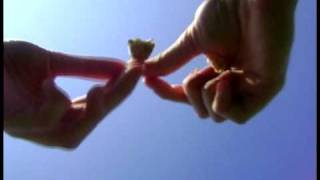 Spiritualized - Let it Flow