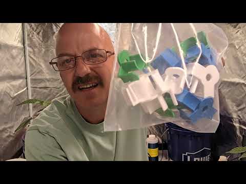 Cannabis Grow Day 34 Part 2. Refilling Hydroponic Food and LST Training. @Mr.greengrower