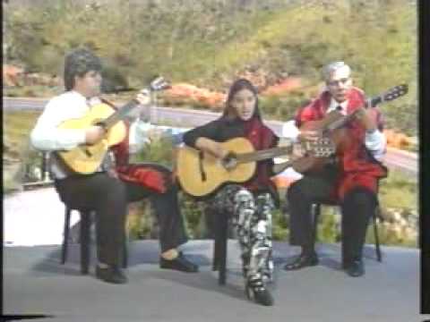 Maria Isabel Guzmán -Carta a un Cuyano - tonada.flv