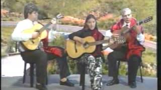 Maria Isabel Guzmán -Carta a un Cuyano - tonada.flv