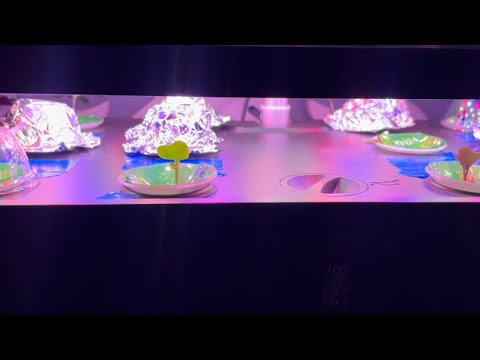 #WIG2024 Entry Video | MUFGA 12 Pod Hydroponics Indoor Growing System