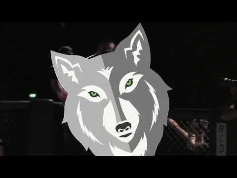 WFP2 - Zvonimir Kralj Vs Alexander Wesner