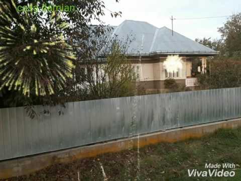 Satul Şoimăreşti Colaj foto soft