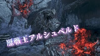 【モンハンワイルズ】最終アプデ！歴戦王アルシュベルドに挑む！