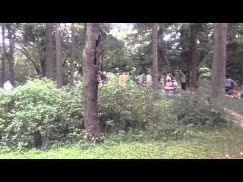 Pyongyang (평양) - Dancing at Moran Hill (모란봉)