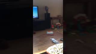 Hoot Hoot Go's newest fan