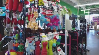 Pet Supplies Plus's Rewards Program