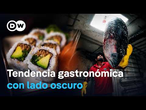 La fiebre del sushi - antojos y extinción de especies | DW Documental