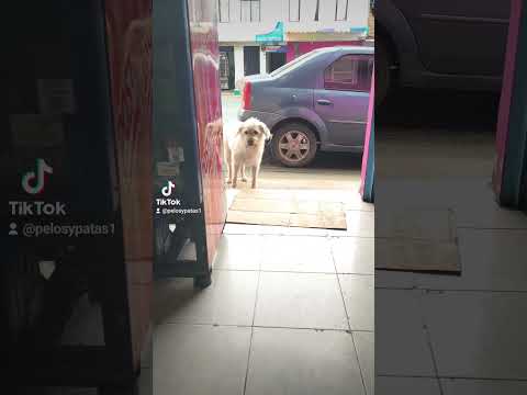 lo de hoy en Chachagui Nariño Colombia