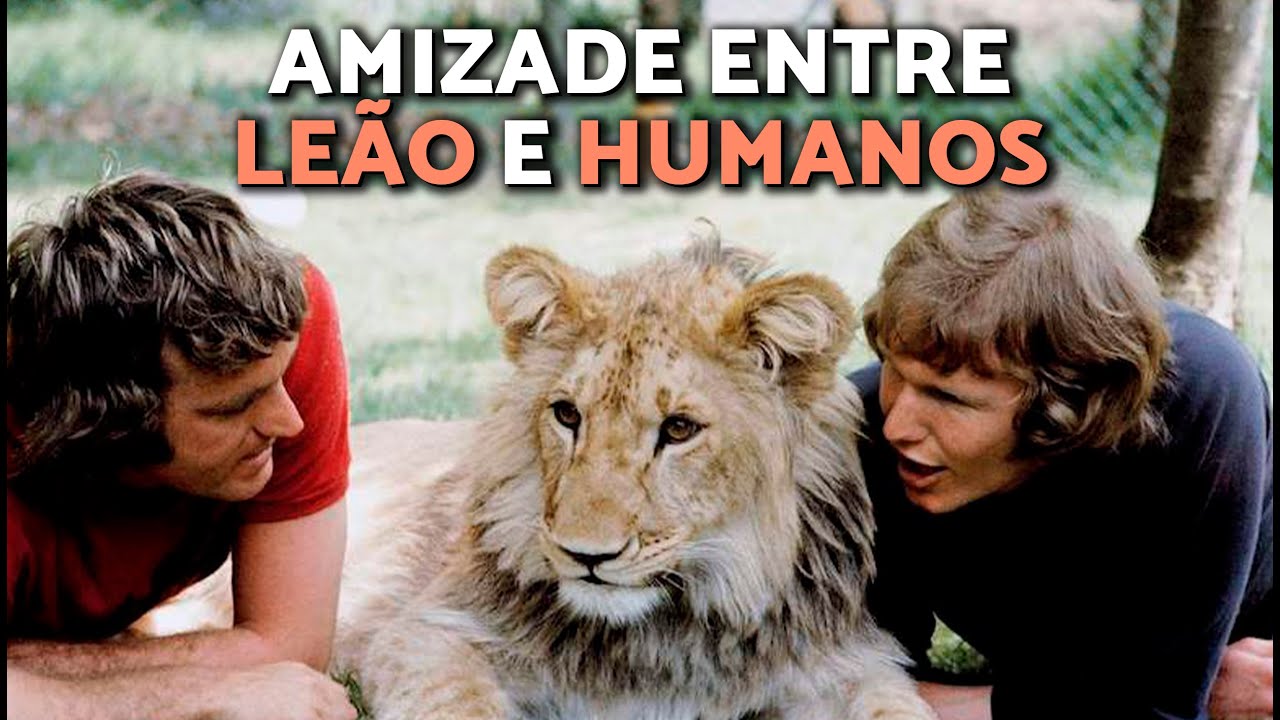 A HISTÓRIA COMPLETA de CHRISTIAN, o LEÃO 🦁🏙️🌿 UMA VERDADEIRA HISTÓRIA DE AMIZADE