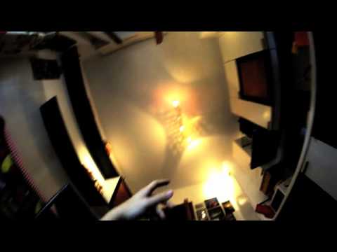 STEREOLIEZ - My Dog is Wet