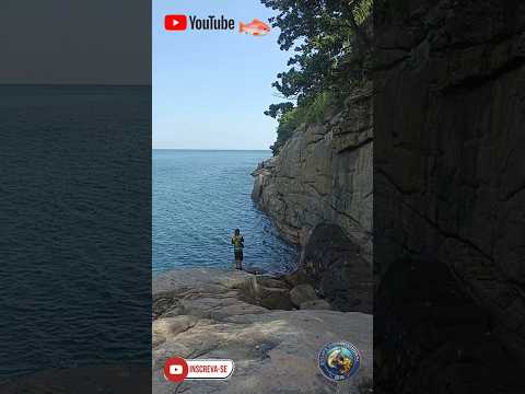 COSTEIRA DE BAREQUEÇABA SÃO SEBASTIÃO SP #ilhabela #shorts #pescaria #costeira #sãosebastião #viral