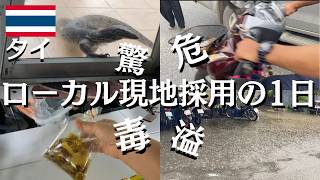 【タイは危険がいっぱい】タイ現地採用、大雨、水トカゲ、バイク、毒イモの伝統菓子「ゴーイ」を食す【バンコクひとり暮らし】
