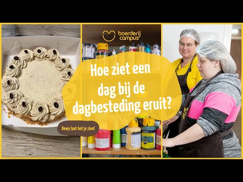 Vlog: Hoe ziet een dag bij de dagbesteding eruit?