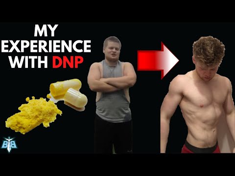My Experience With DNP, The World's Strongest Fat Burner