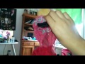 Elmo Want S To Learn More About Carrot S